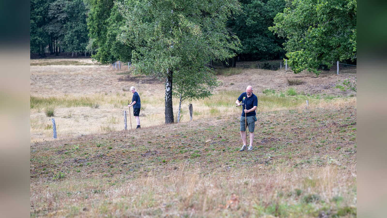 Dirk Wewers und Kollegen bereiten Löcher für die Auswilderung der Feldgrillen vor