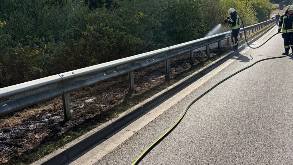 Einsatzkräfte der Feuerwehr Dörpen beim Löschen des Flächenbrandes am 25. August 2026