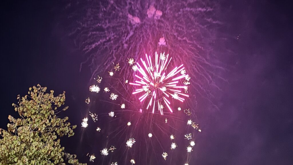 Buntes Feuerwerk am Nachthimmel über Rhede, im Vordergrund die Silhouette eines Baumes