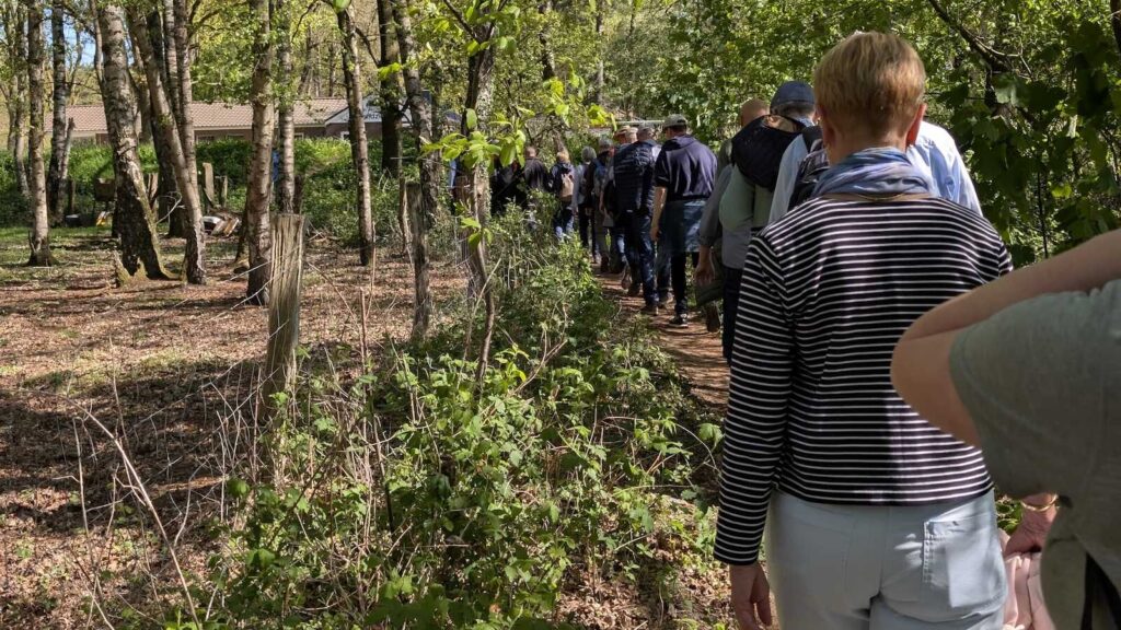 Wandergruppe geht hintereinander auf einem schmalen Waldweg durch lichten Laubwald