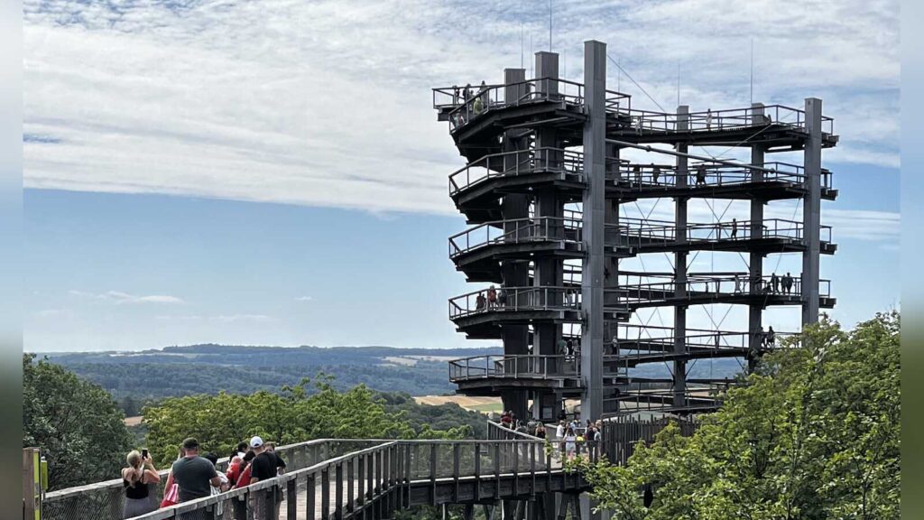 Der Baumwipfelpfad an der Saarschleife führt als Holzsteg durch die Baumkronen