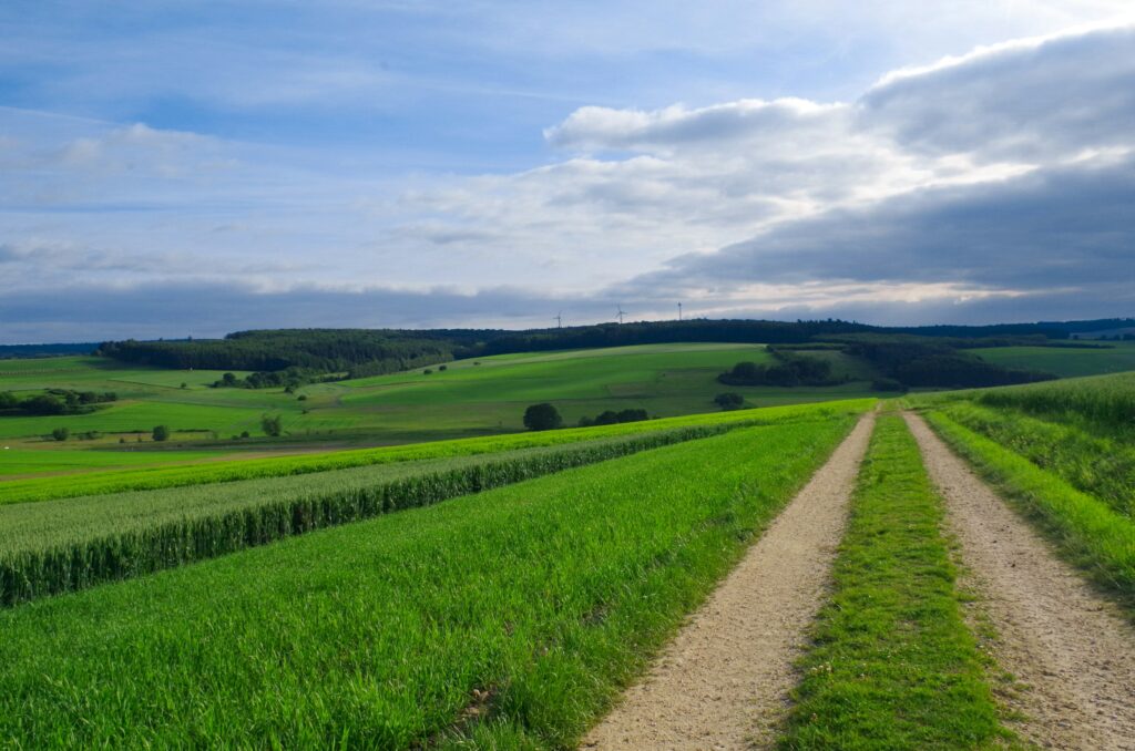 Landwirtschaftliche Felder in einer norddeutschen Landschaft