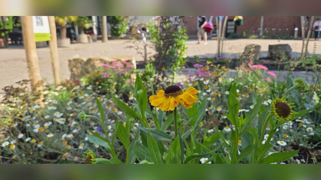 Blick auf das Rathaus am Rathausplatz in Rhede