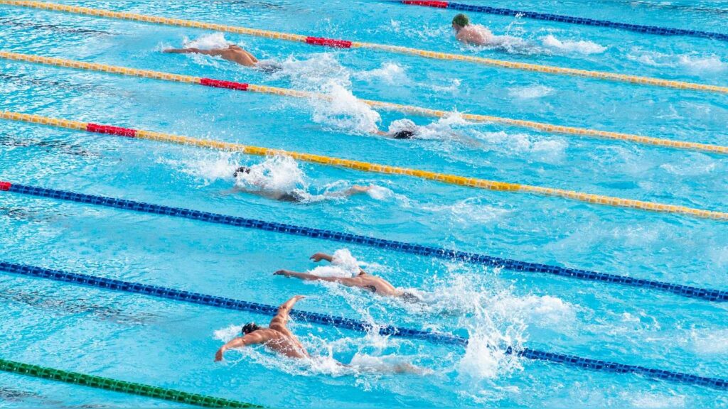 Mehrere Schwimmerinnen und Schwimmer trainieren in den Bahnen eines Schwimmbeckens