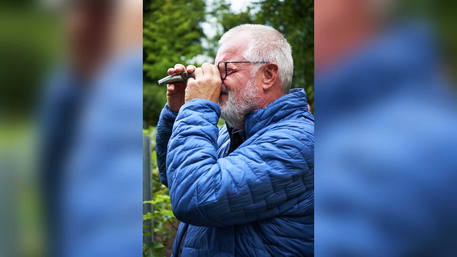 Winzer Hermann Weber prüft mit einem Refraktometer den Reifegrad der Trauben