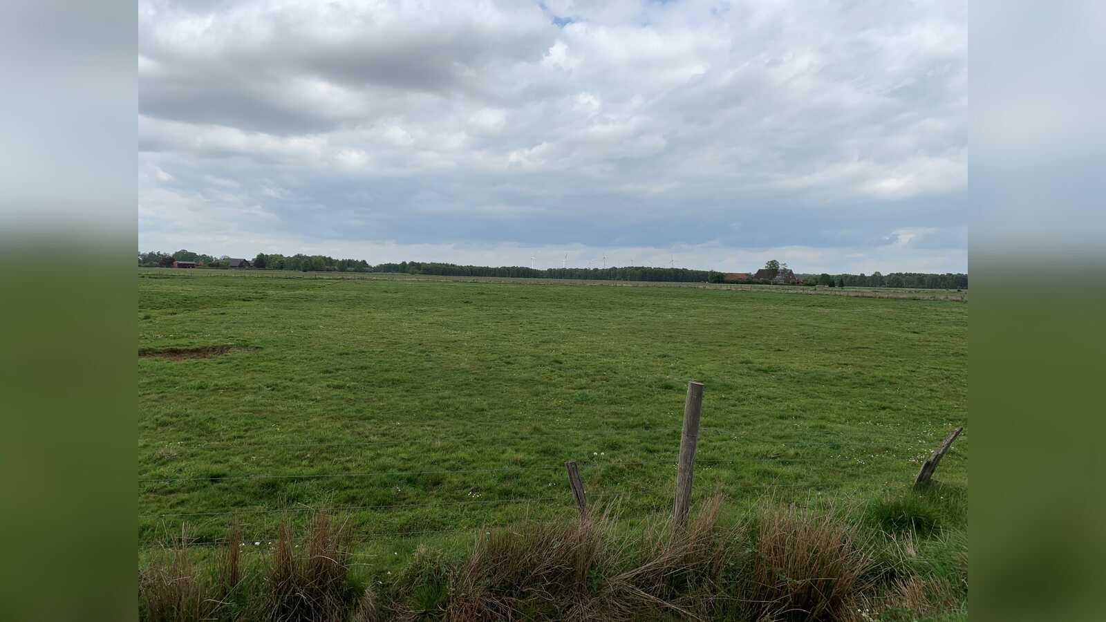 Trockene Grünlandfläche in der Steinbrinker-Ströhener Masch im Mai 2022
