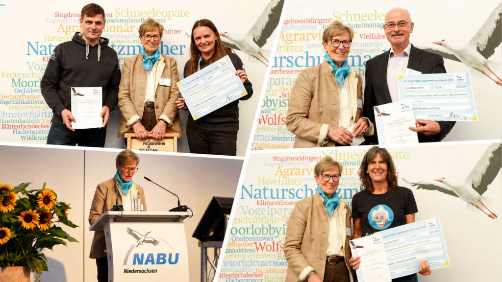 Collage der drei ausgezeichneten Projekte des NABU Jugendnaturschutzpreises 2026