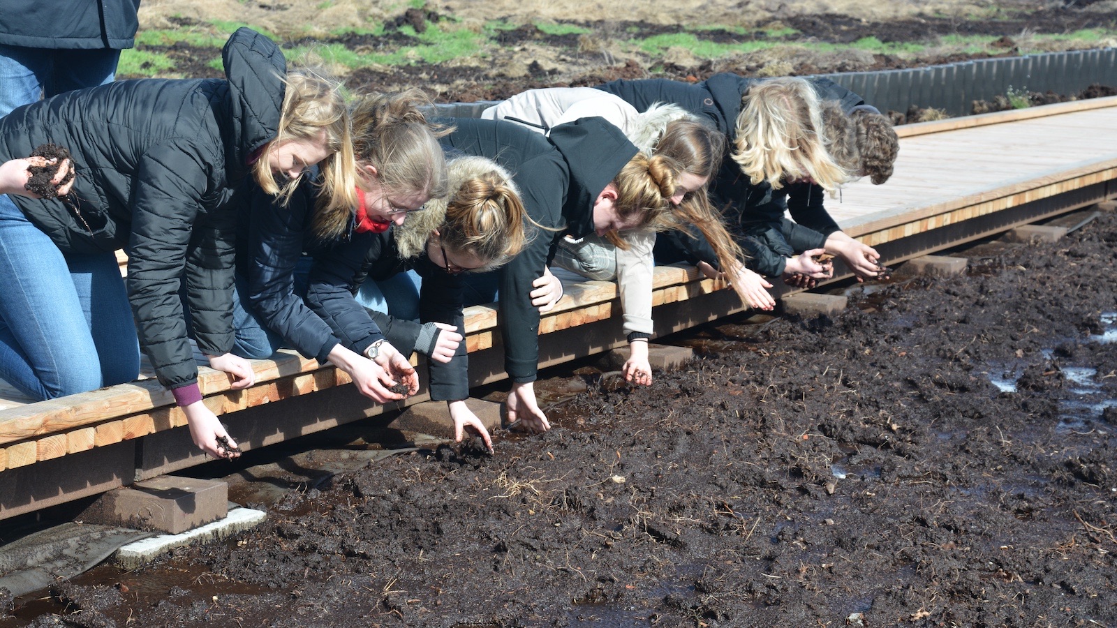 Kinder erkunden Moorboden am Bohlenweg im Geopark Emsland