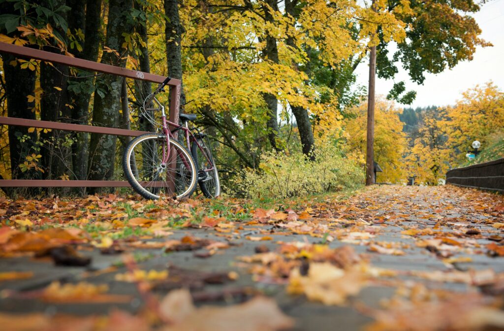 Ein Fahrrad steht auf herbstlichem Laub