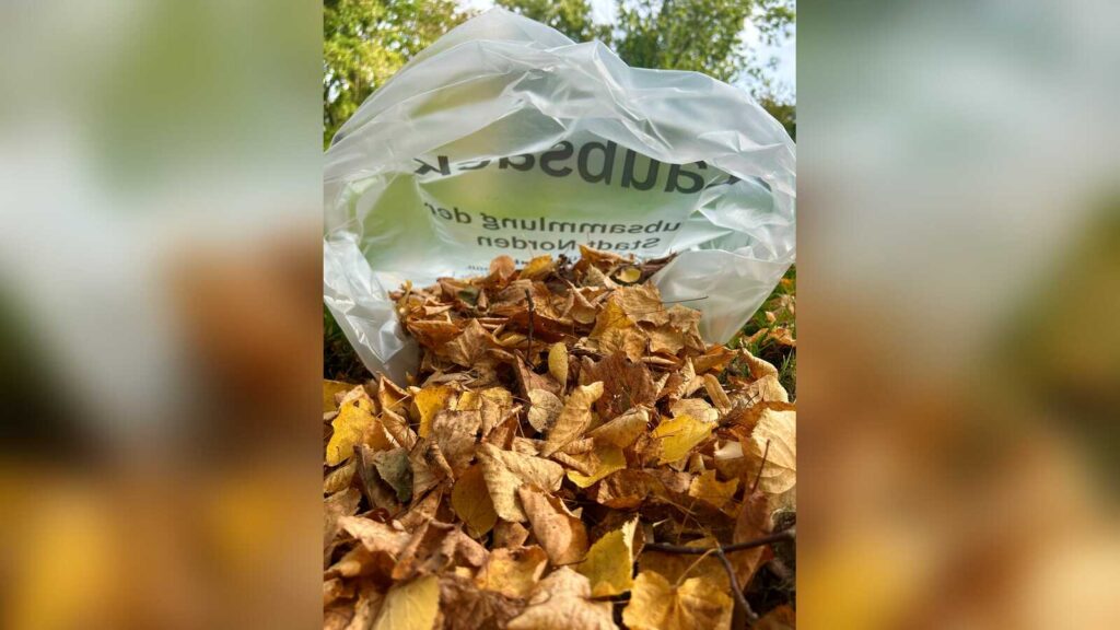 Transparente Laubsäcke mit Aufdruck Laubsammlung der Stadt Norden