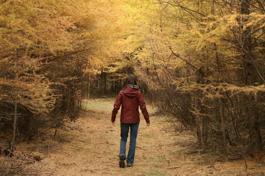 Eine Frau geht im Herbst durch einen Wald, Symbolbild zum Auszeit-Workshop Älter werden im Job