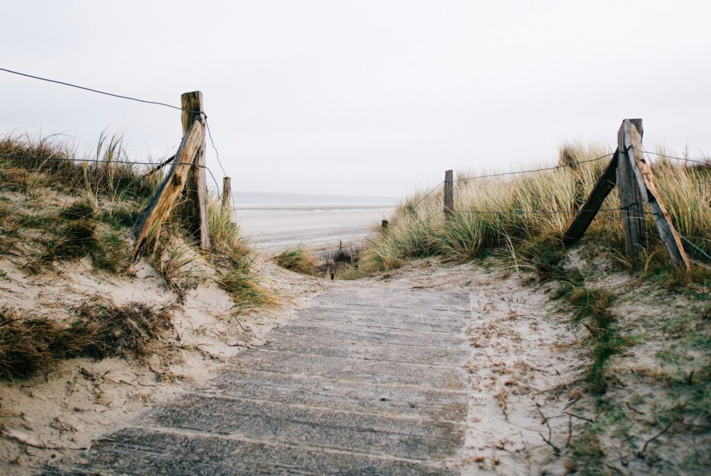 Holzsteg führt durch die Dünen zum Nordseestrand auf Wangerooge in Ostfriesland