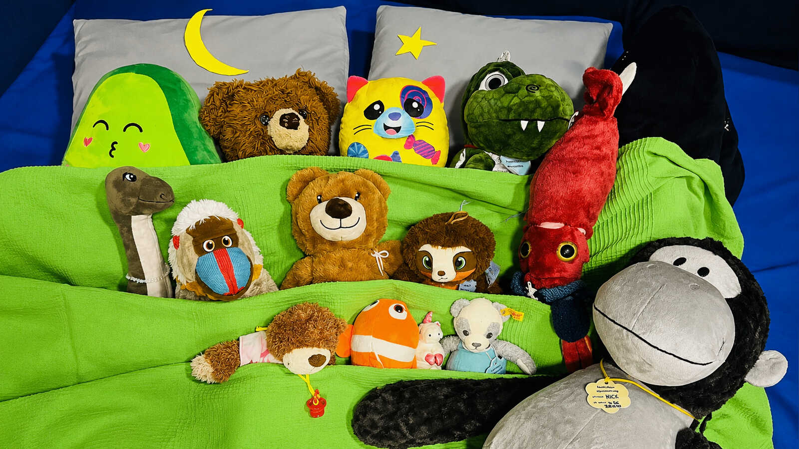 Kuscheltiere liegen bei der Übernachtungsparty in der Stadtbücherei Dülmen zum Schlafen bereit