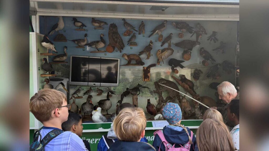 Grundschulkinder bei den Waldjugendspielen im Papenburger Demonstrationswald