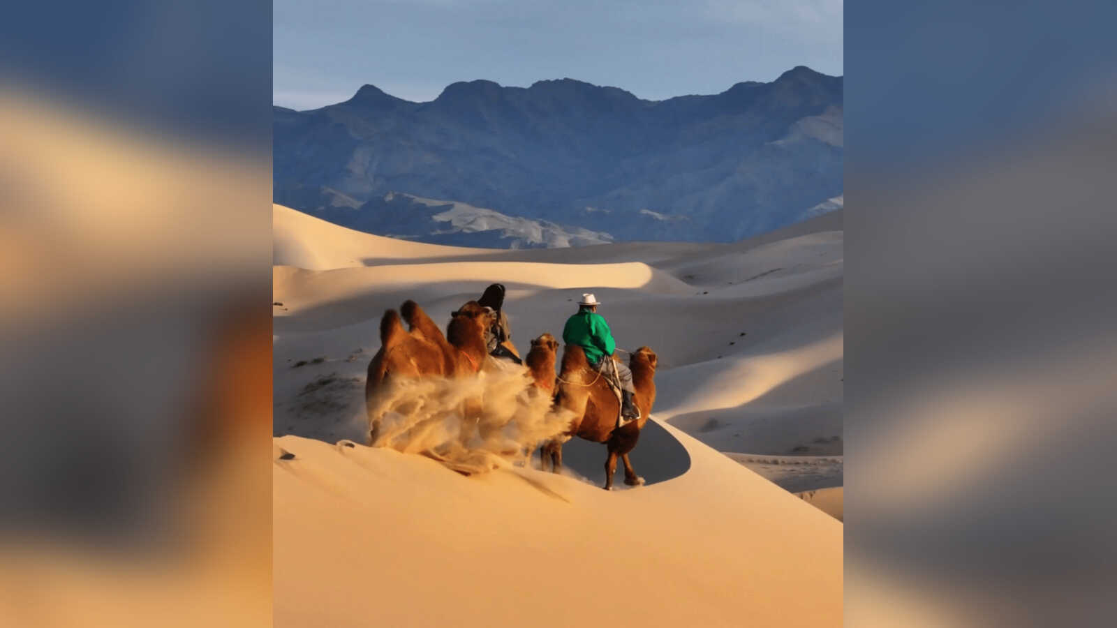 Unterwegs auf der Gobi-Taiga-Durchquerung in der Mongolei