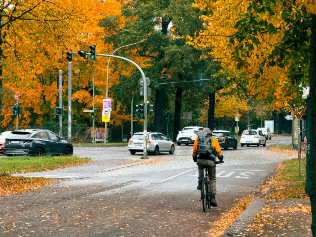 Radfahrer fährt auf einer von herbstlich gefärbten Bäumen gesäumten Straße