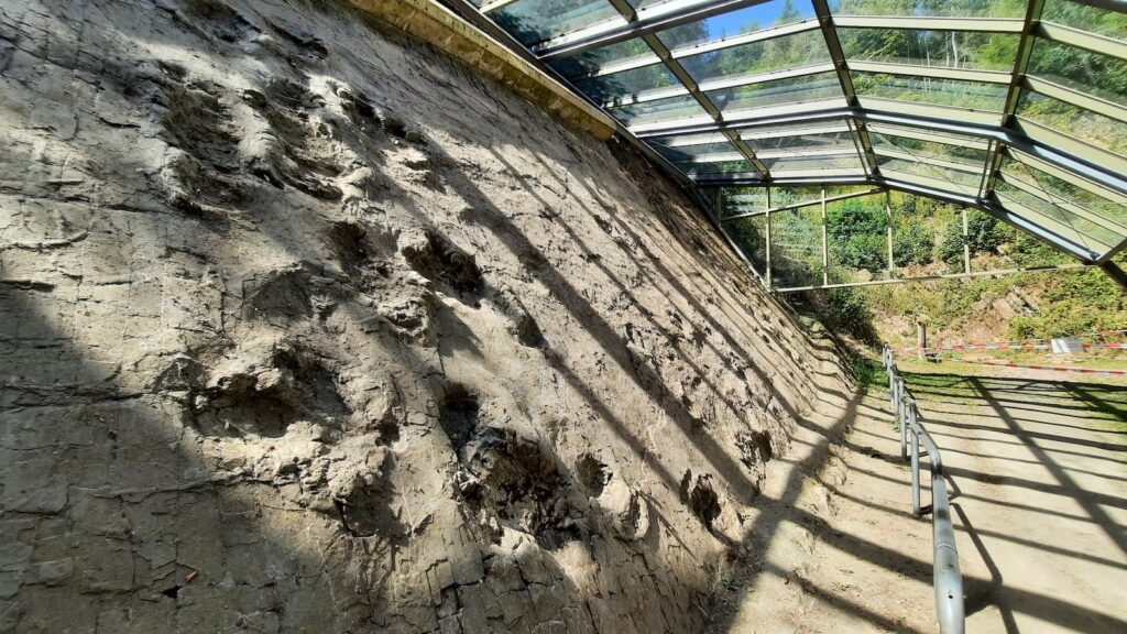 Die versteinerten Saurierfährten im Steinbruch von Bad Essen-Barkhausen unter dem Schutzdach des Geoparks TERRA.vita