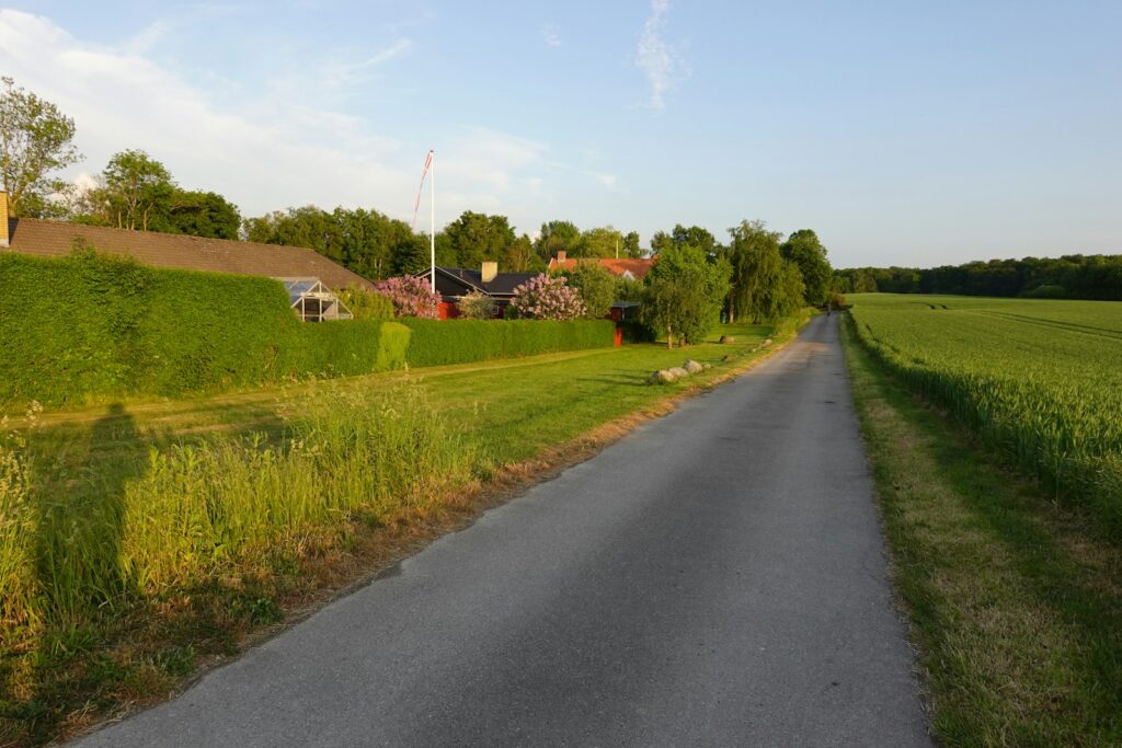 Asphaltierte Straße durch eine ländliche Landschaft mit Feldern
