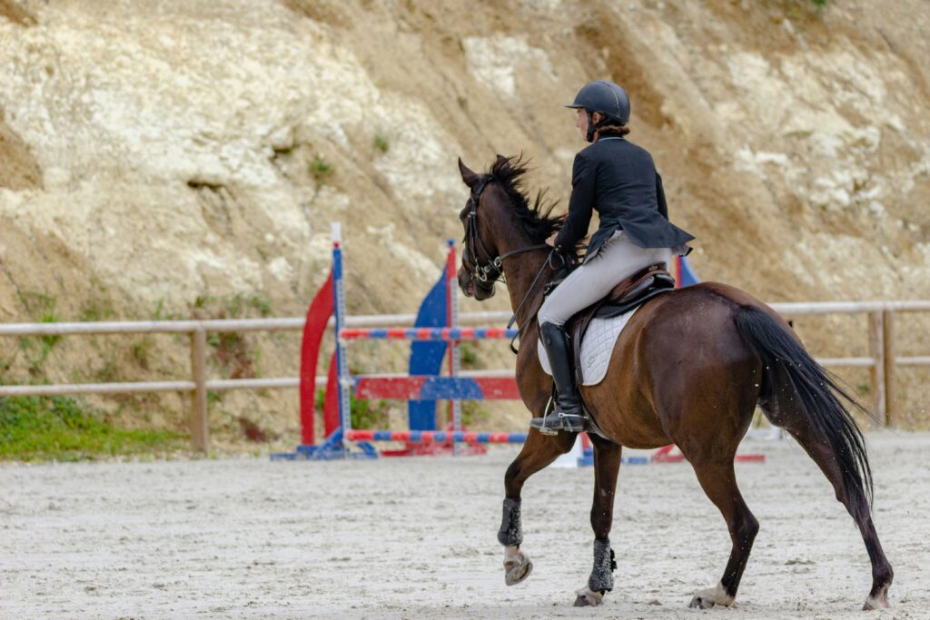 Reiterin in dunkler Reitjacke auf einem Pferd bei Tageslicht, Symbolbild für Dressurponysport