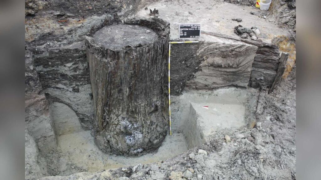 Freigelegter Baumstammbrunnen bei einer archäologischen Grabung in Cloppenburg, Fund aus dem Jahr 2012