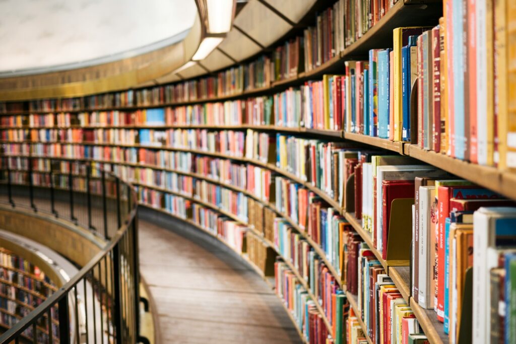 Gefülltes Bücherregal mit zahlreichen Büchern
