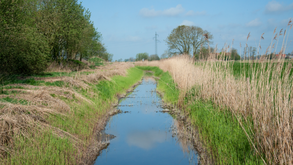 Die Eggelinger Leide in Wittmund unter blauem Himmel