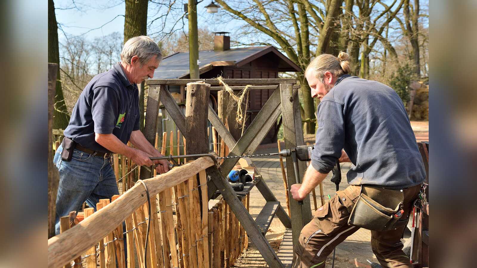 Zwei Handwerker bauen ein Holztor in einen Gehegezaun aus Kastanienholz