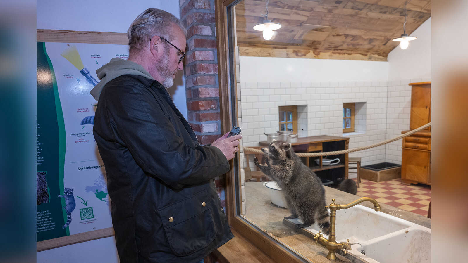 Hartmut Heckmann in der Tierscheune Heckmann im Tierpark Nordhorn, im Hintergrund ein Waschbär