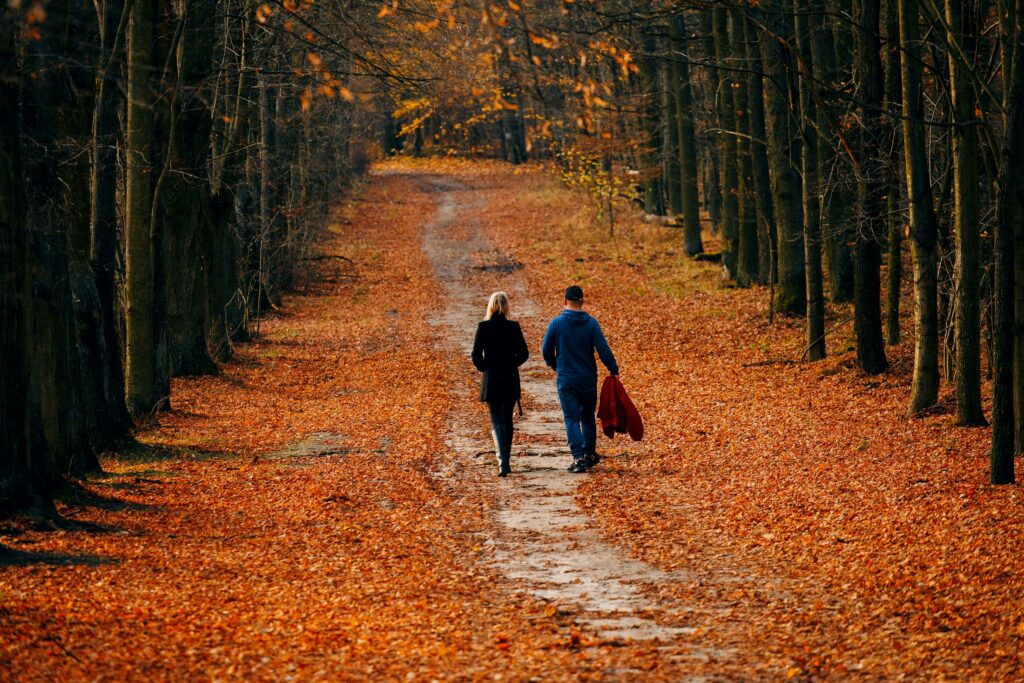 Zwei Erwachsene gehen von hinten gesehen auf einem laubbedeckten Waldweg im Herbst
