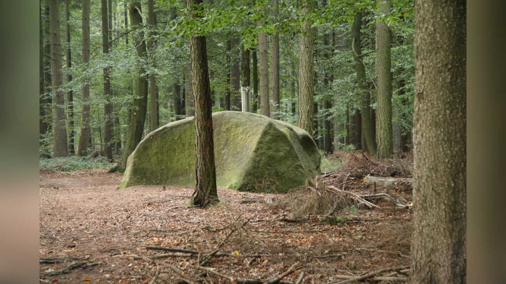 Große Findlinge liegen verstreut im Wald des Naturschutzgebiets Steinernes Meer am Gattberg bei Belm