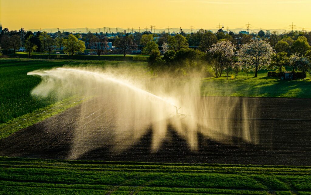Eine Beregnungsanlage versprüht Wasser über einem bestellten Feld im Morgenlicht