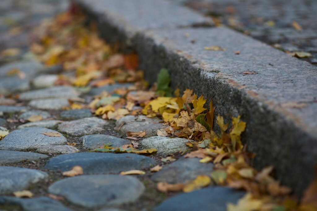 Herbstlaub liegt am Bordstein einer gepflasterten Straße