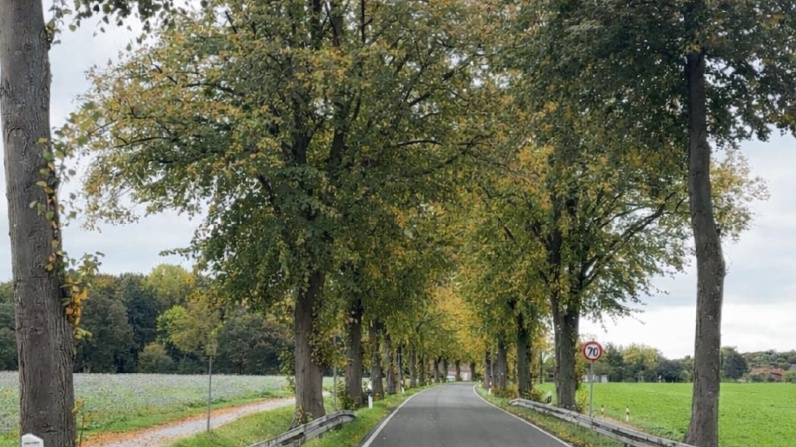 067_K31 (C) Kreis Coesfeld