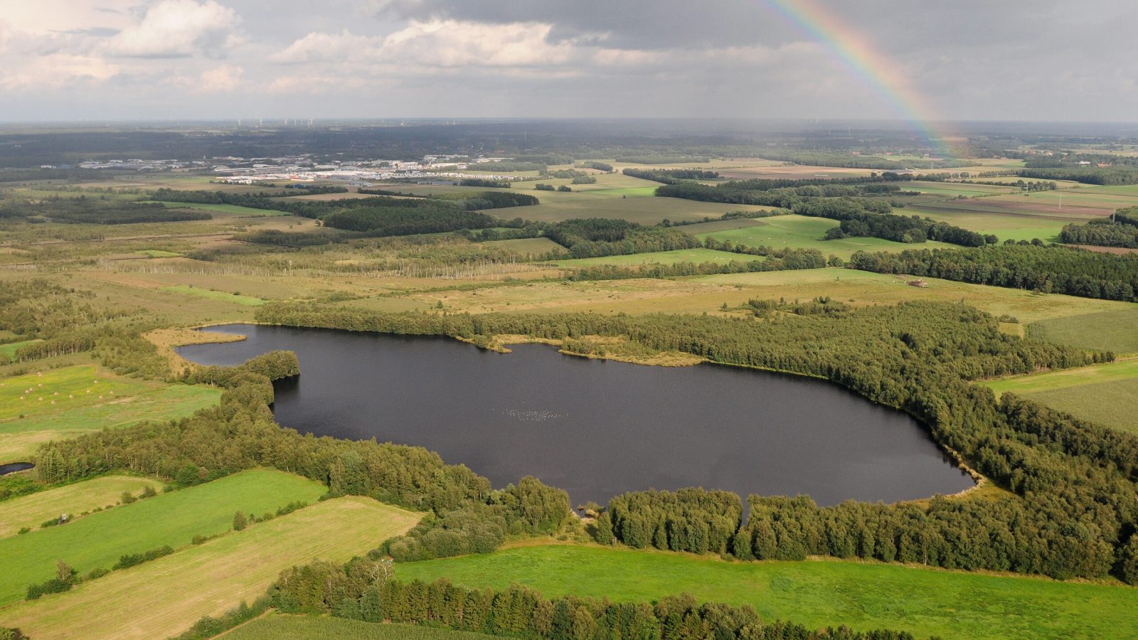 1 NSG Theikenmeer Foto Schüring