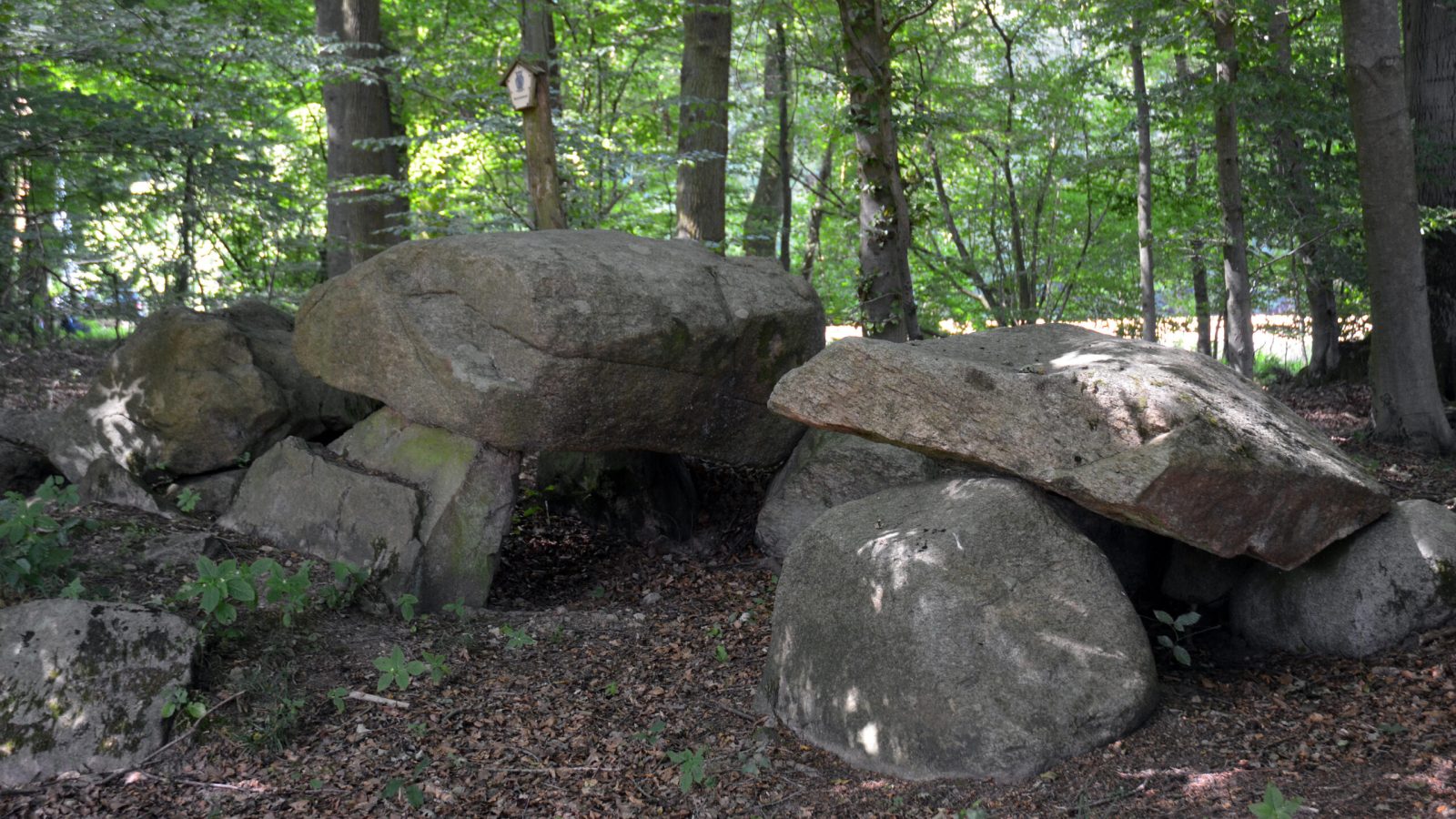 2016_Großsteingrab_Deitinghausen