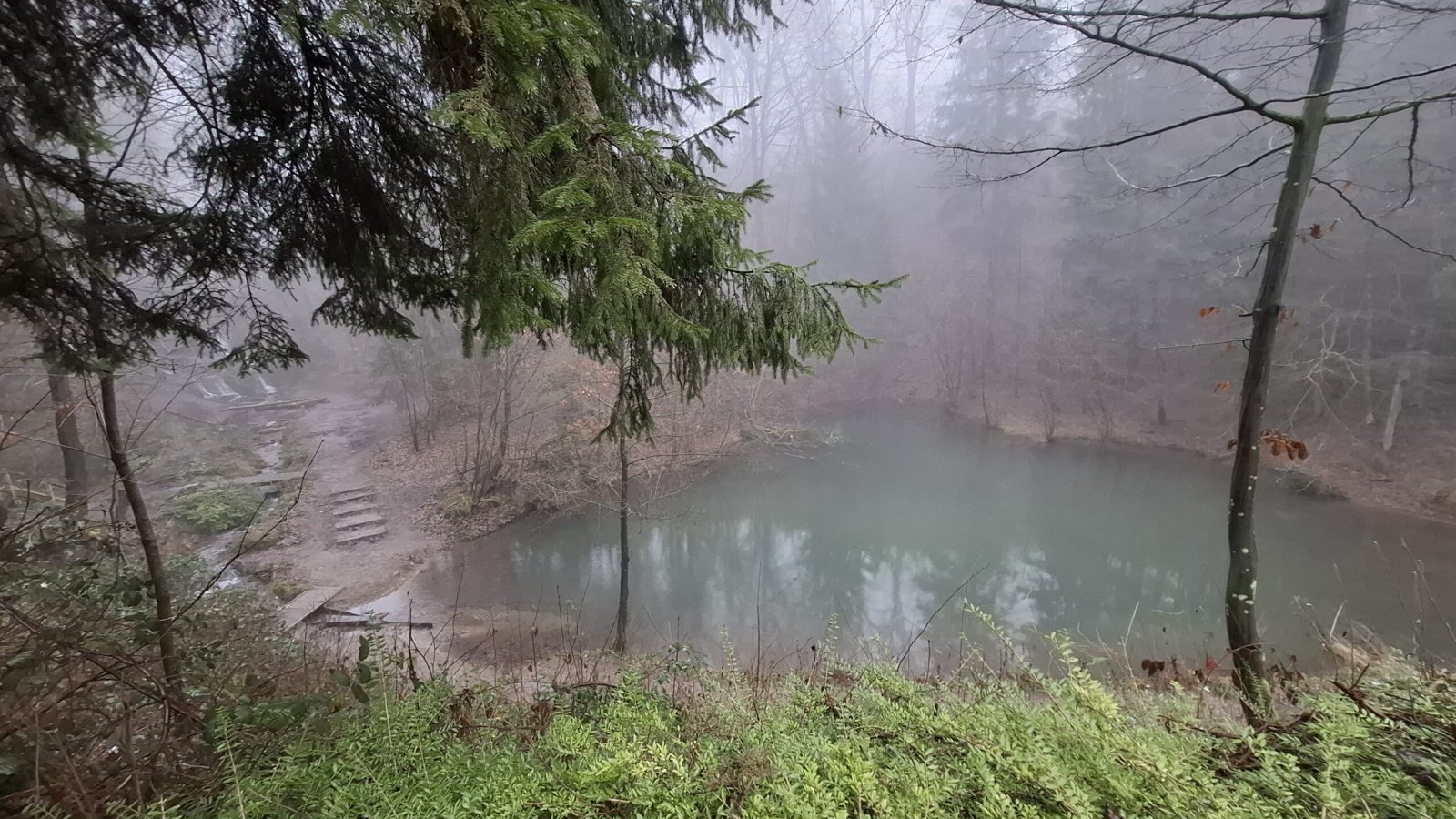 2025_Grüner_See_Fischer