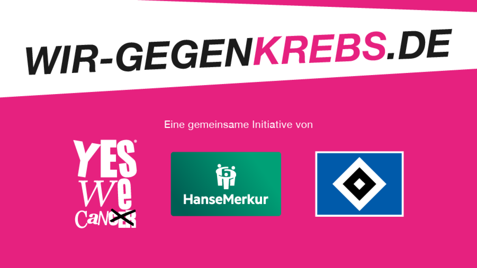 24411da9c5c2c876bd3064c129980671