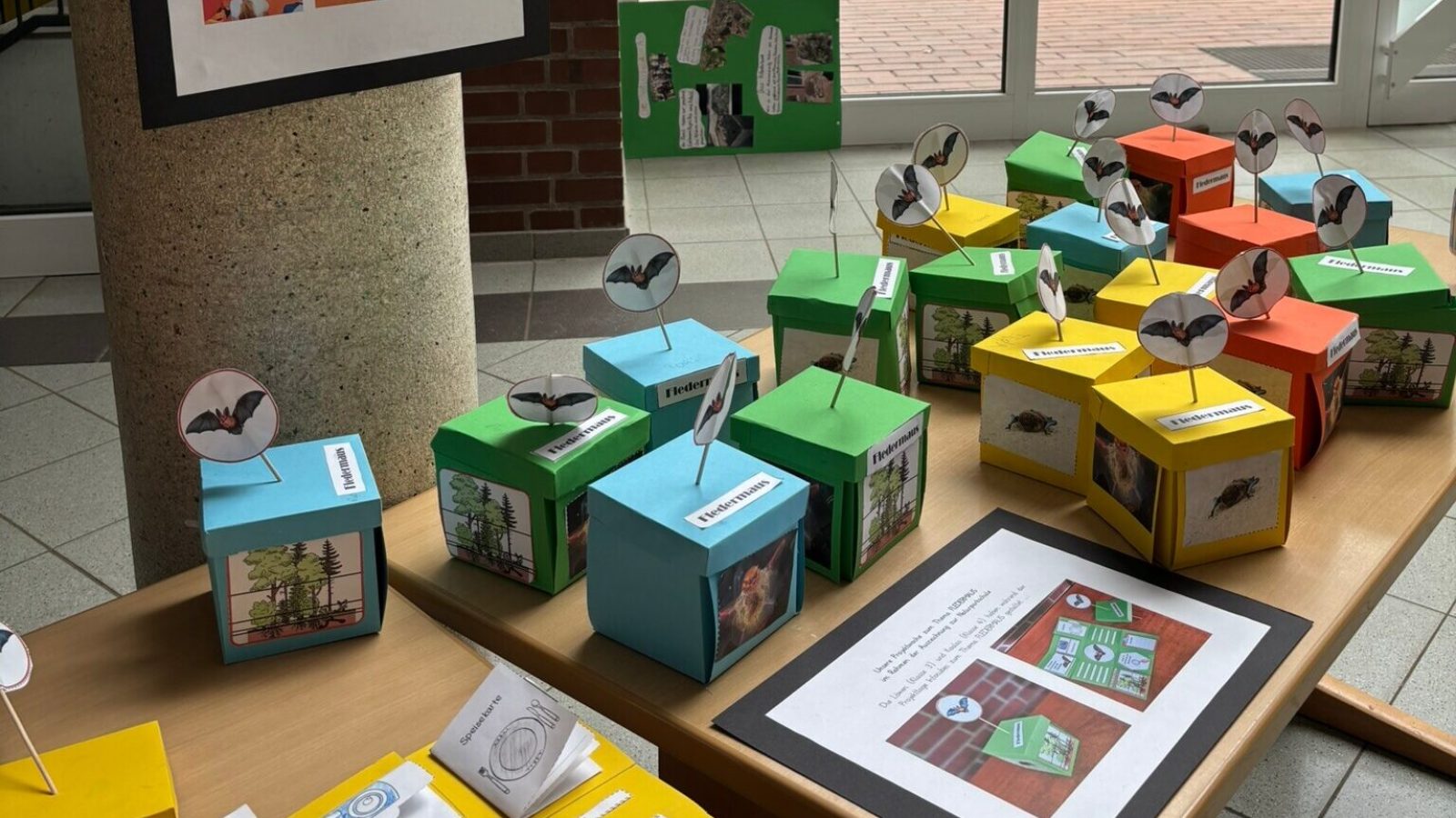 Antoniusschule Naturparkschule Lap-Books und Info-Cubes zum Thema Fledermaus