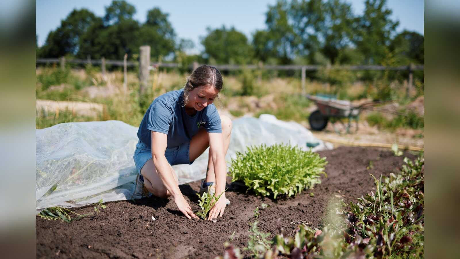 Salat vom Welterhof aus Dülmen, Beispiel für regionale Bio-Lebensmittel in der Aktionswoche „Unser Frühstück kommt von hier“