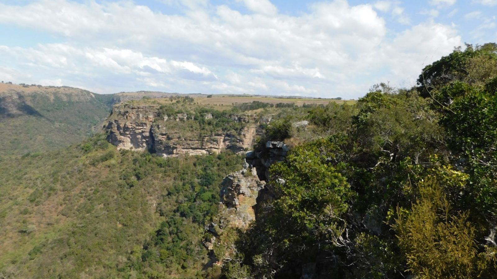 68d5a389696b6117664355