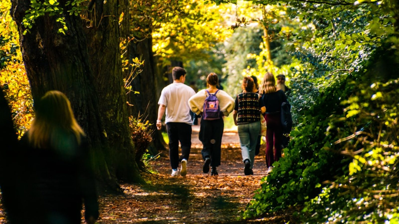 Gruppe von sechs Personen, die auf einem Waldweg zwischen Bäumen spazieren gehen, umgeben von herbstlichen Farben.