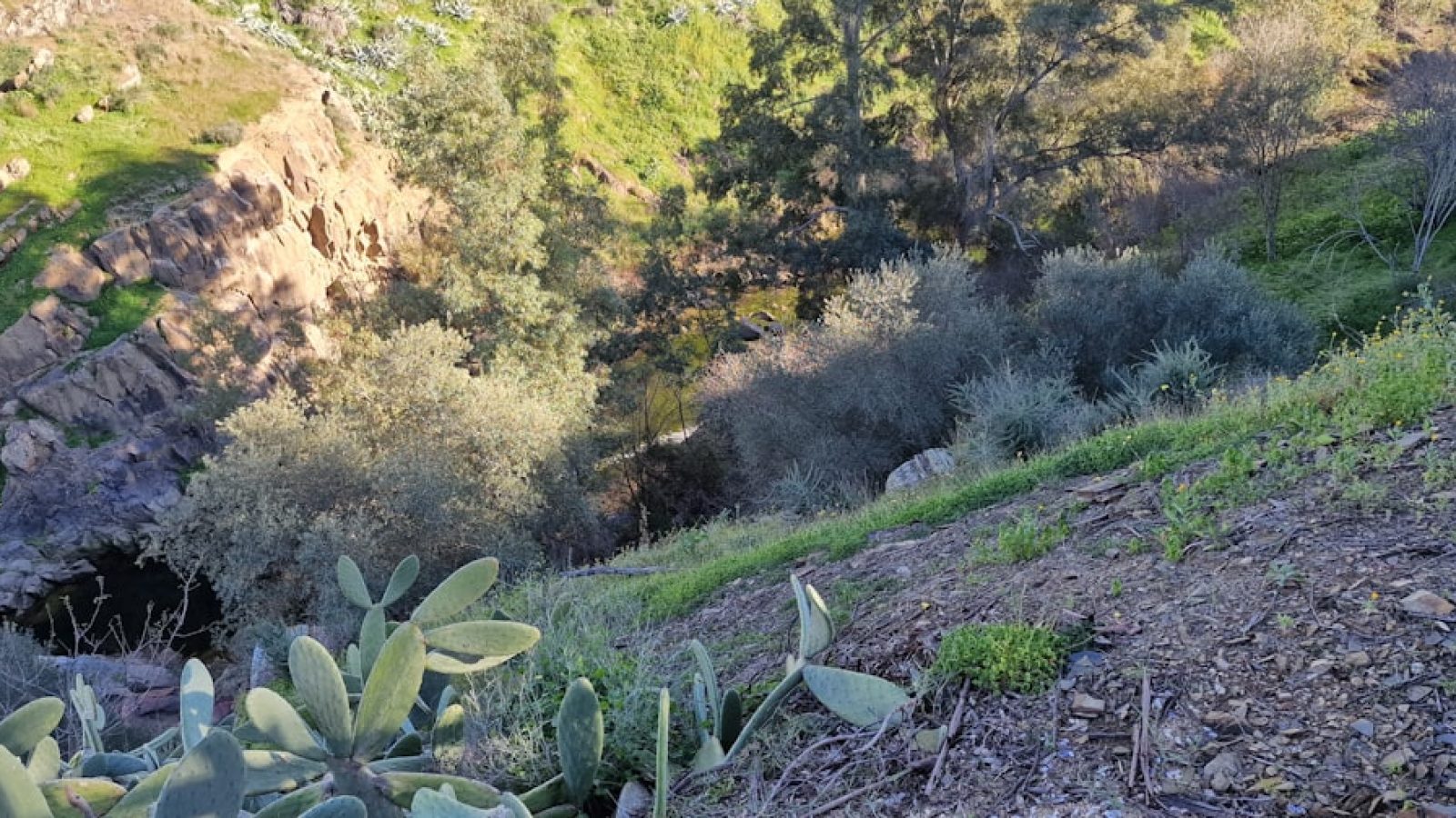 68d9389c5ee03257770229