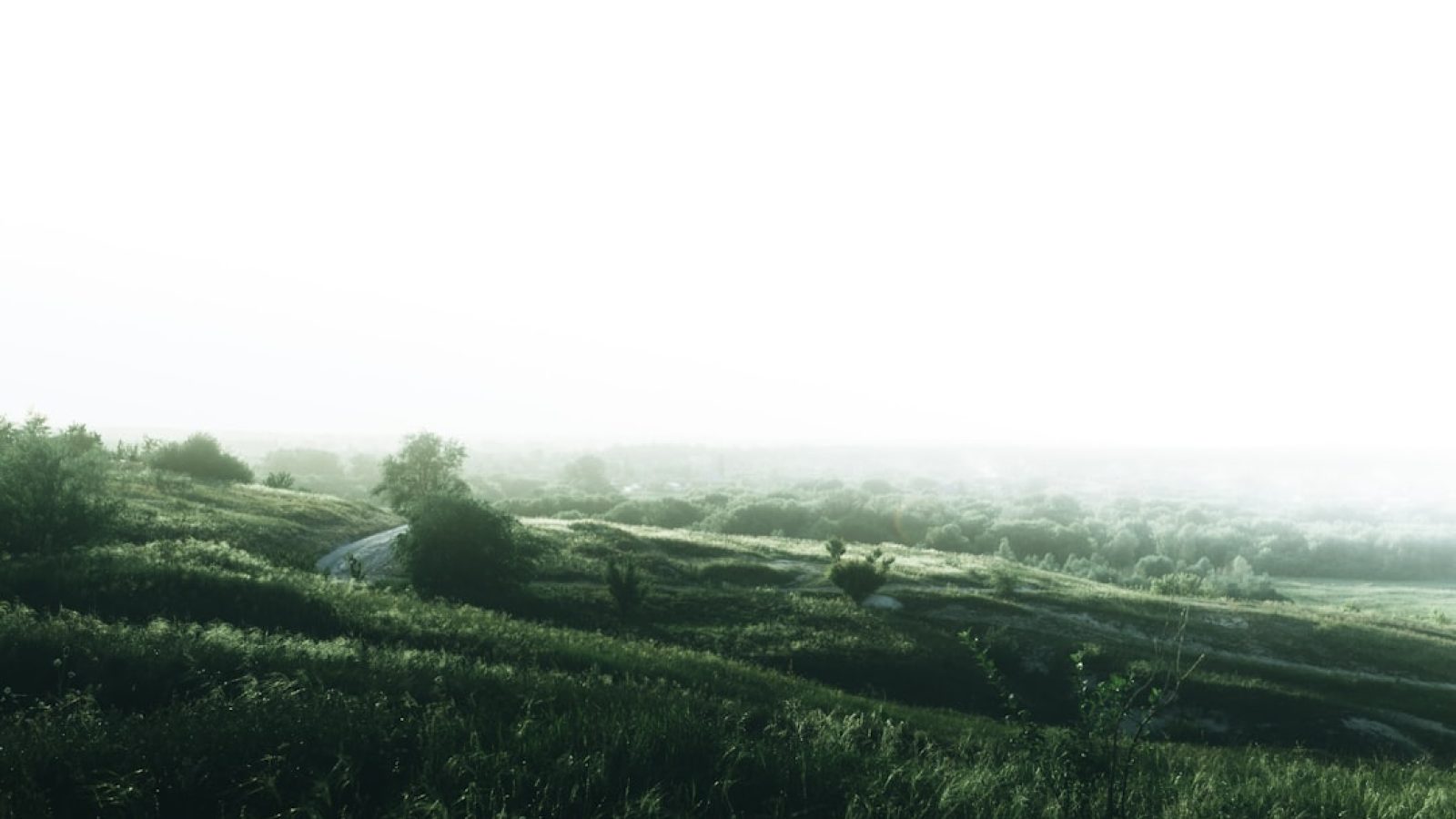 690762796a2b5241707036