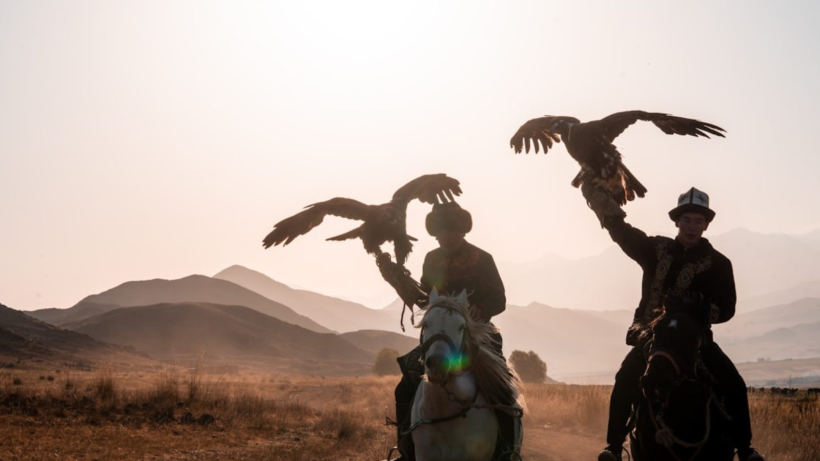 690a570c56ace727860562