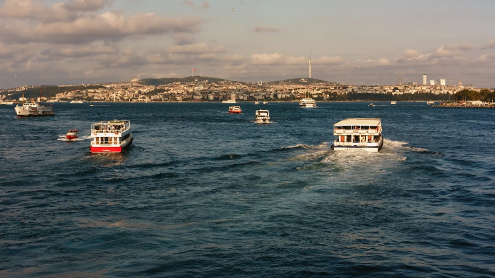 690a57583dd36033406376