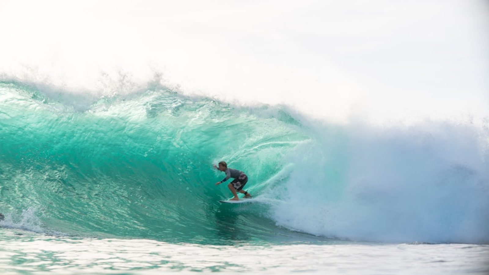 690a61cc36bc2039283955