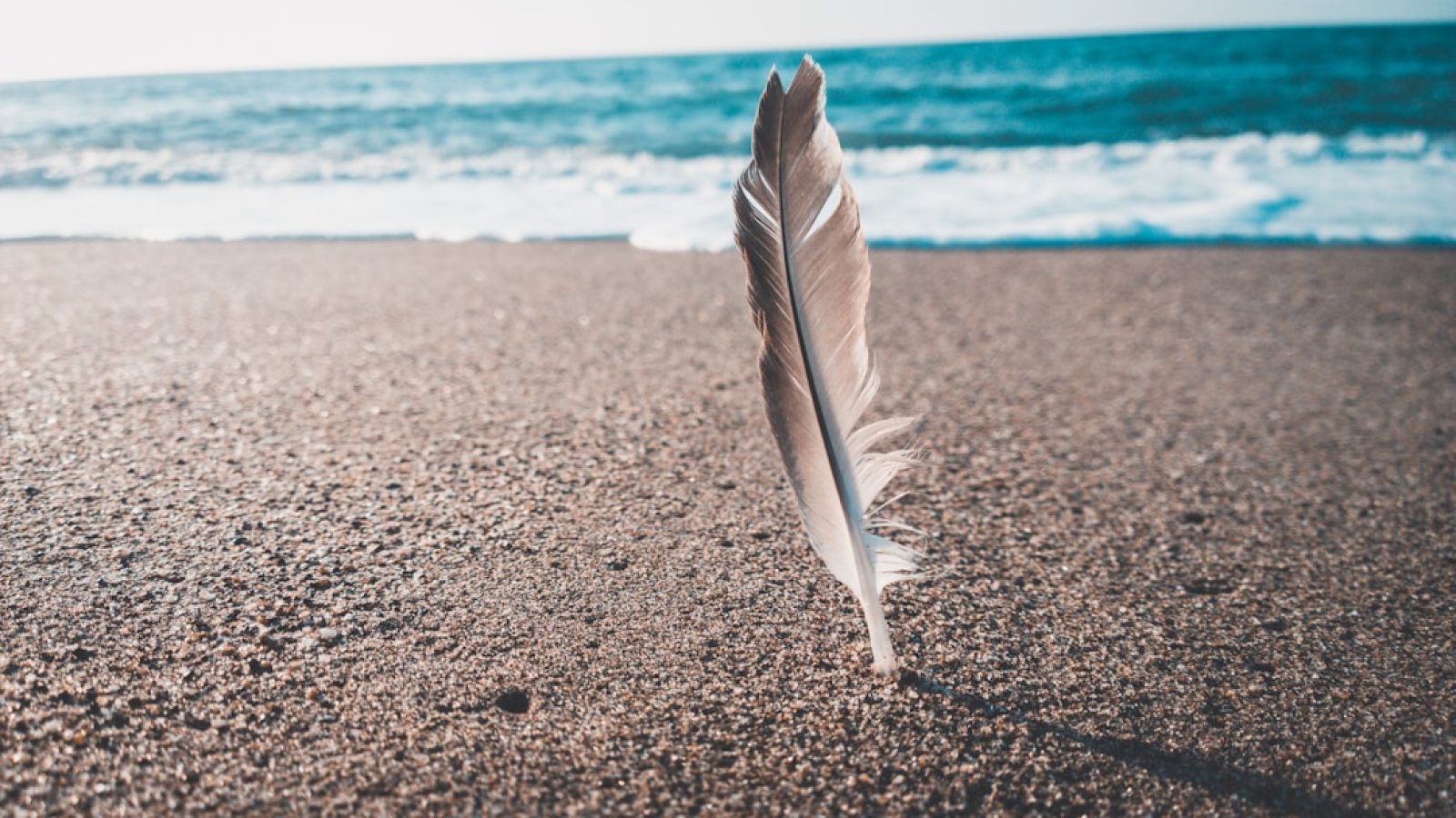 690a6239c3692701440493