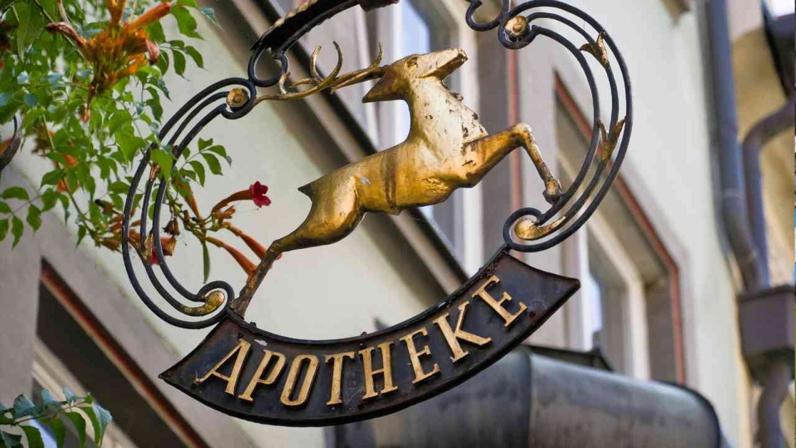 Apothekenreform