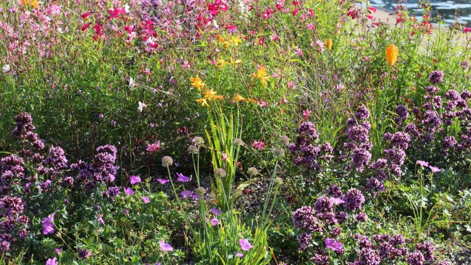 August Garten