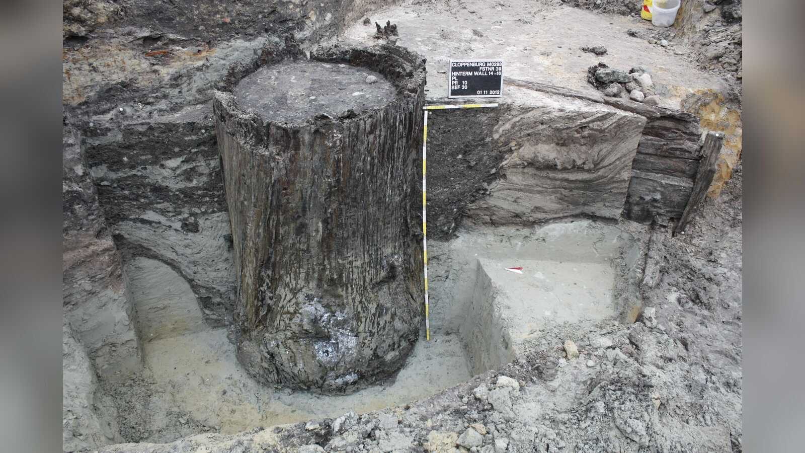 Freigelegter Baumstammbrunnen bei einer archäologischen Grabung in Cloppenburg, Fund aus dem Jahr 2012